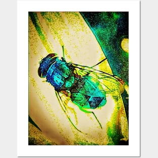 Blue Fly Posters and Art